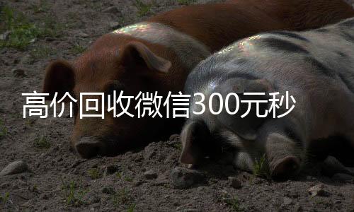 高价回收微信30长期收购微信号0元秒结（高价24小时回收微信）